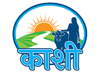 Kashee ERP
